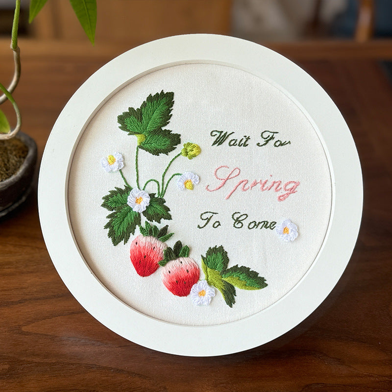 Strawberry fruit embroidery kits for beginner-with fabric,thread,needles